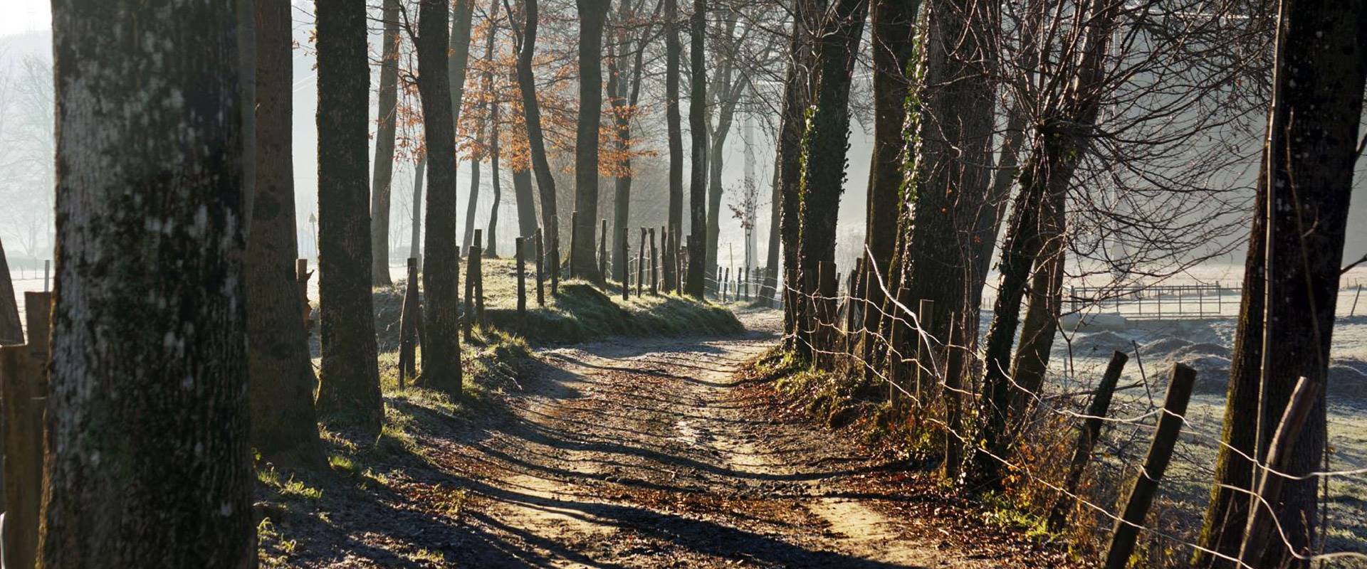 Le cascine di Ameno