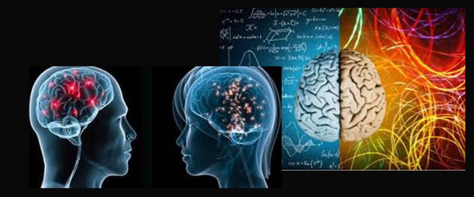 neuroscienza-relazioni-coppia-96.jpg